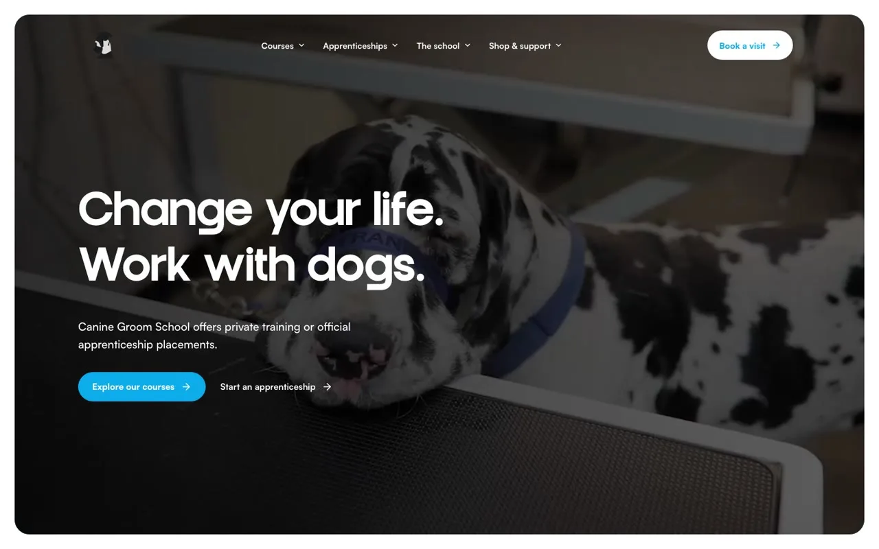 Homepage of the Canine Groom School website